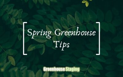 Green Fingers: Getting Your Greenhouse Ready for Spring