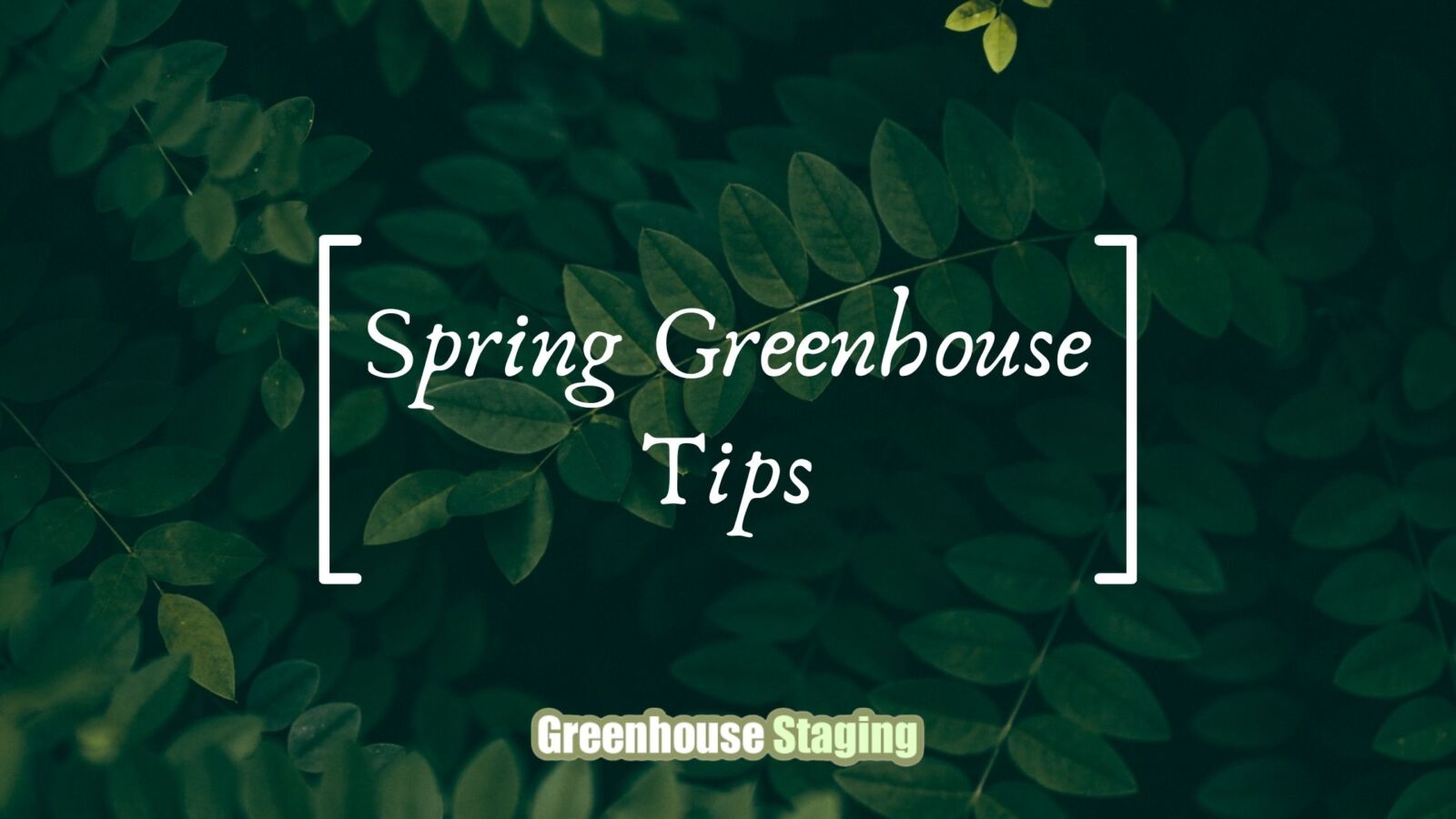 Getting Your Greenhouse Ready for Spring