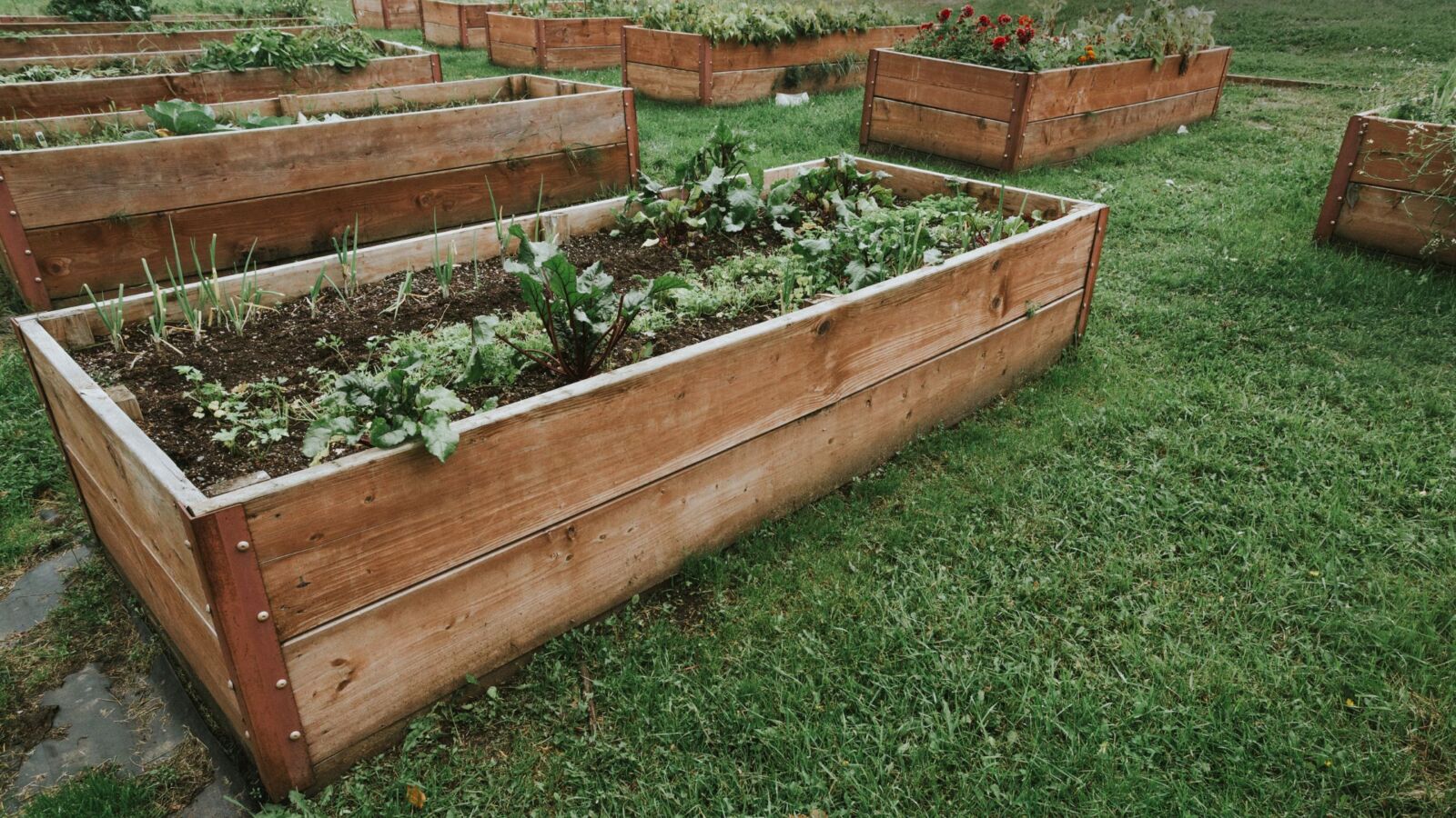 Maximising Your Garden with Raised Beds: A Guide to Preparation and Planting