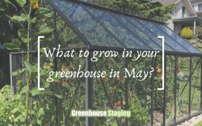 The Best Vegetables to Grow in Your Greenhouse This May